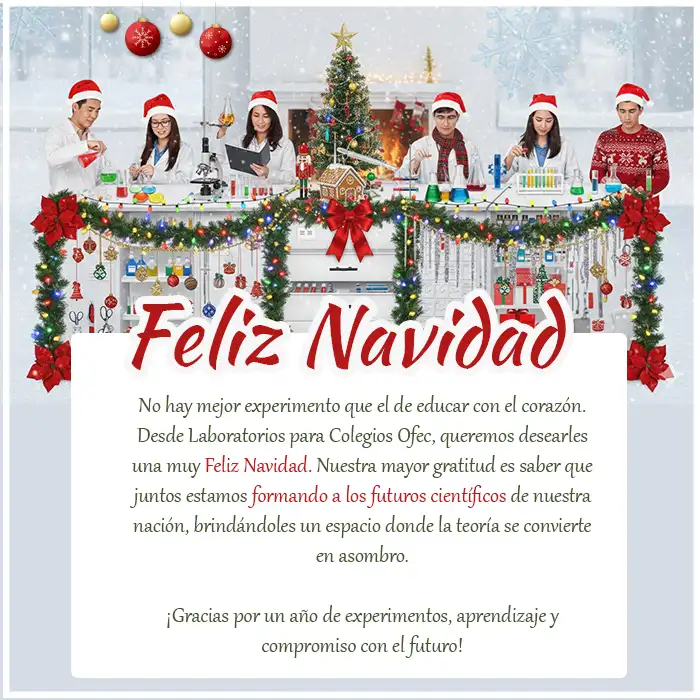 Felices fiestas